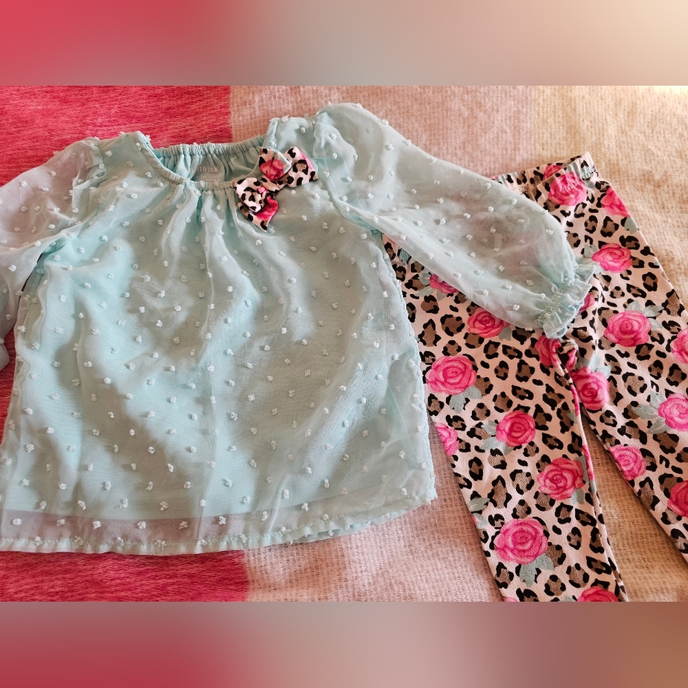 Healthtex 6-9M Girl Outfit